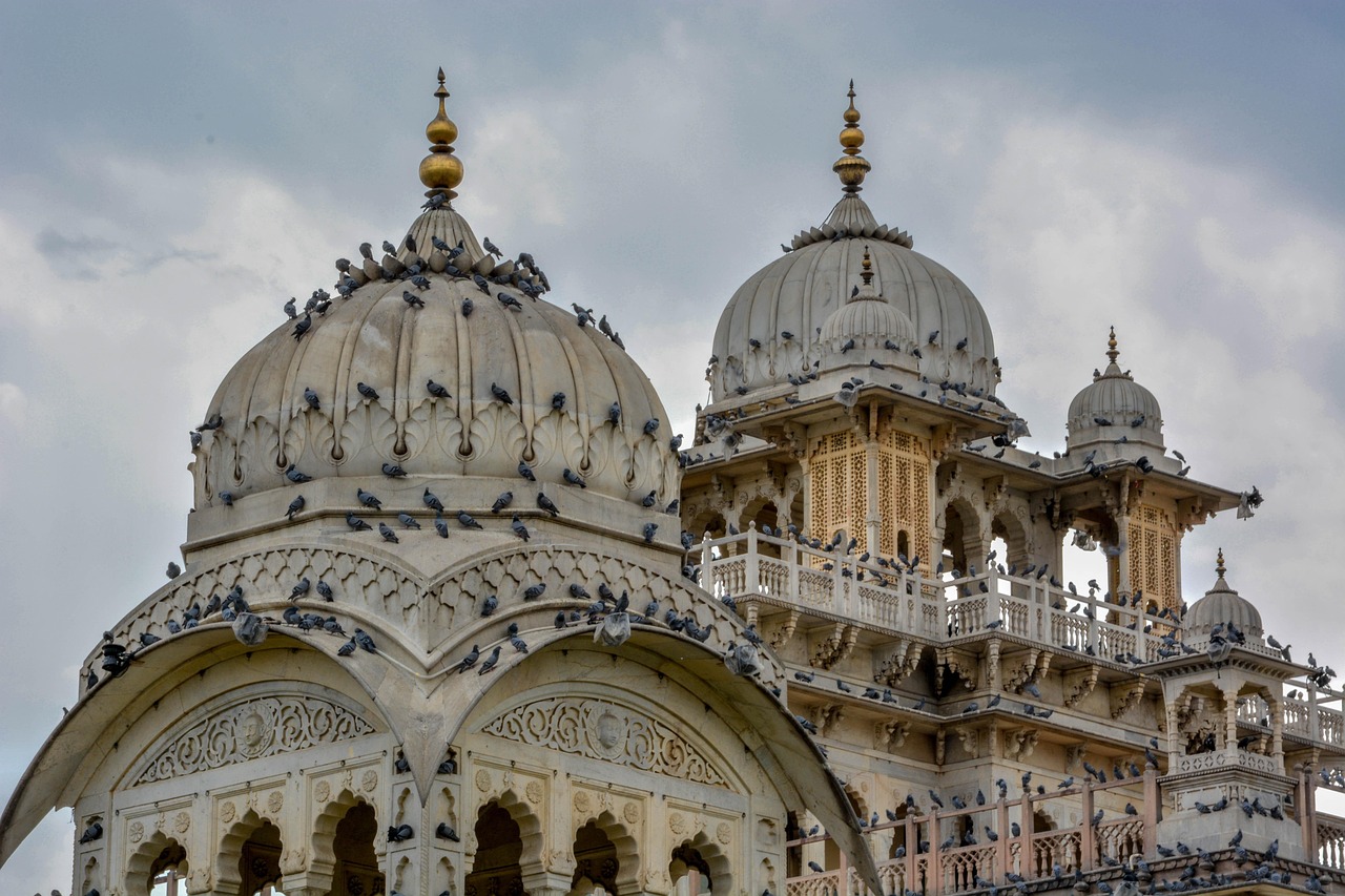 Fastest Online Betting Sites for Rajasthan Reviews India 2027 Review 2026: Bonus, App, Withdrawal Tested